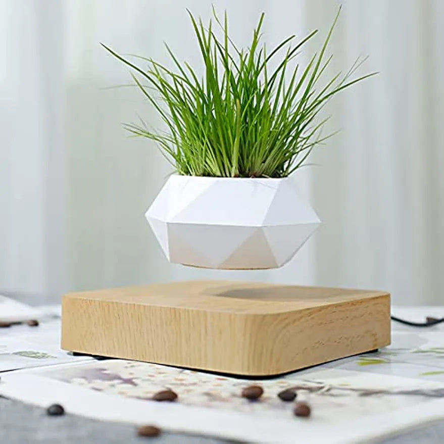 Floating Levitating Magnetic Plant Pot - QayyoomLux